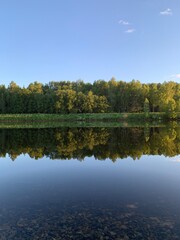 Fototapeta na wymiar trees reflected in water