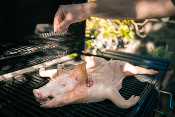 Chef put salt to pork on a barbecue grill. Whole pig cooked grilled meat in BBQ