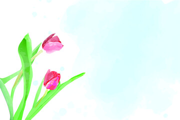 background tulip flower watercolor with blue spot
