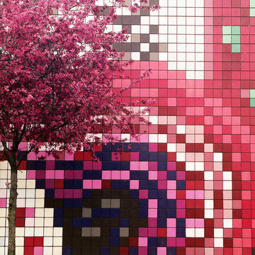 Pixelation in Pink