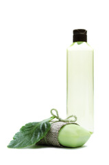 soap and shampoo, set for cleaning on a white background