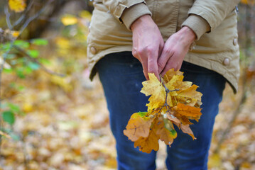 golden autumn is the last warm days filled with yellow and red leaves