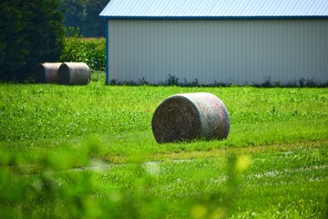 haystack on a field