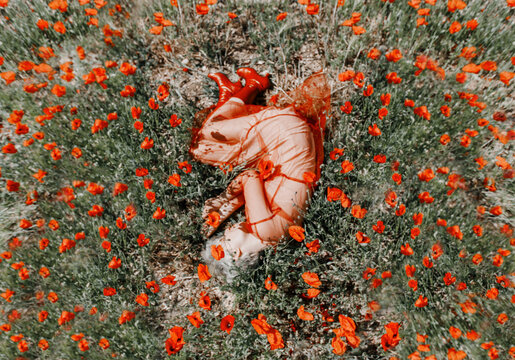 Blonde girl laying at the poppy field in red transparent dress