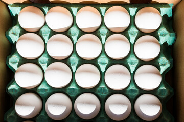 Ovos brancos orgânicos e frescos dentro da caixa de papelão direto da granja logo pela manhã de dia ensolarado