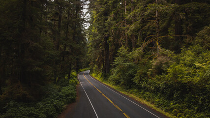 road in the woods