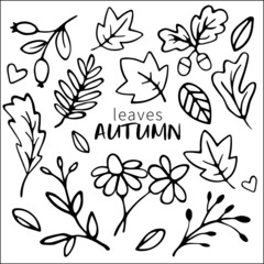 autumn leaves, with nuts and hearts, cute icons for autumn