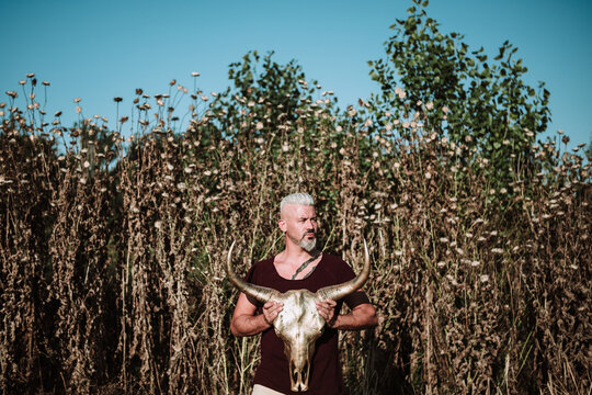Serious muscular bearded gray haired male with tattoo holding horn animal skull while standing against tall grass and blue sky in nature