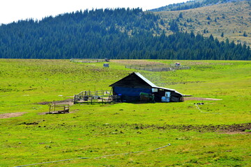Typical landcsape in the mountains and forests of Transylvania. Bucegi Massif, Carpathian Mountains, Romania