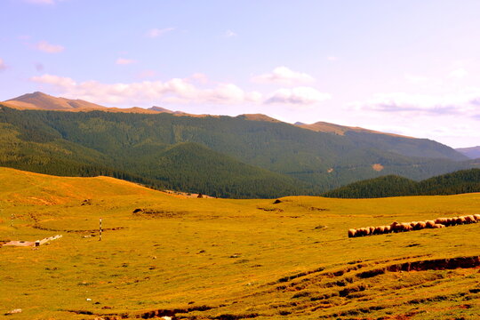 Typical landcsape in the mountains and forests of Transylvania. Bucegi Massif, Carpathian Mountains, Romania
