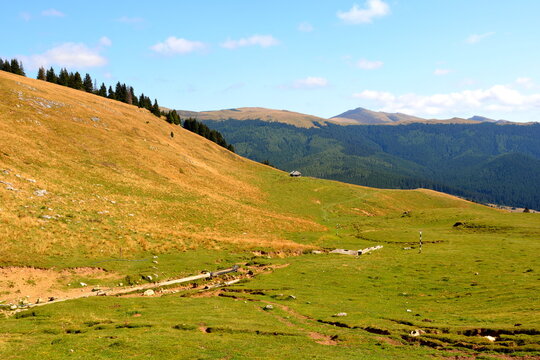 Typical landcsape in the mountains and forests of Transylvania. Bucegi Massif, Carpathian Mountains, Romania