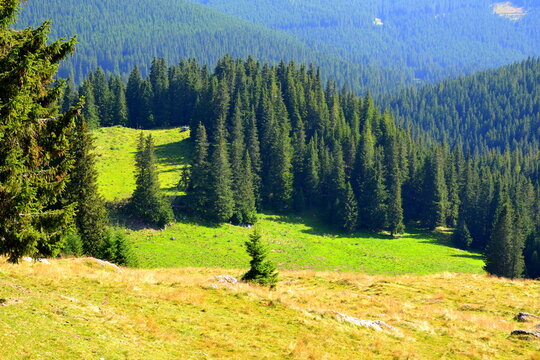Typical landcsape in the mountains and forests of Transylvania. Bucegi Massif, Carpathian Mountains, Romania