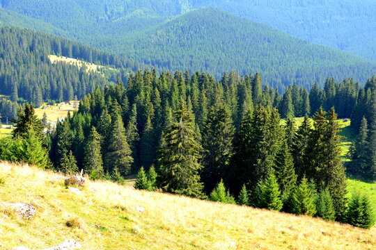 Typical landcsape in the mountains and forests of Transylvania. Bucegi Massif, Carpathian Mountains, Romania