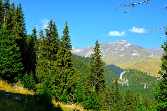 Typical landcsape in the mountains and forests of Transylvania. Bucegi Massif, Carpathian Mountains, Romania