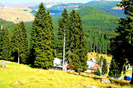 Typical landcsape in the mountains and forests of Transylvania. Bucegi Massif, Carpathian Mountains, Romania
