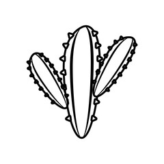 cactus mexican plant line style icon