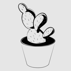 vector outline drawing of cactus in a pot
