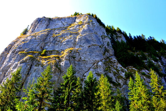 Typical landcsape in the mountains and forests of Transylvania. Bucegi Massif, Carpathian Mountains, Romania