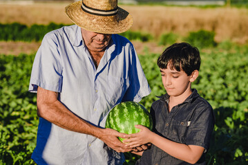 Senior male farmer and grandson carrying ripe striped watermelon together while standing in green agricultural field in summer day
