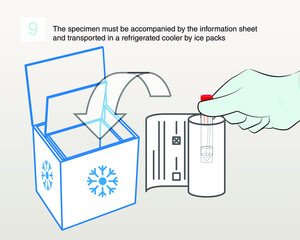 Step 9 : The specimen must be accompanied by the information sheet and transported in a refrigerated cooler by ice packs