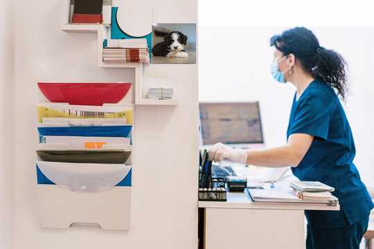 Side view of woman in medical mask and uniform standing near desk in office while working in vet clinic