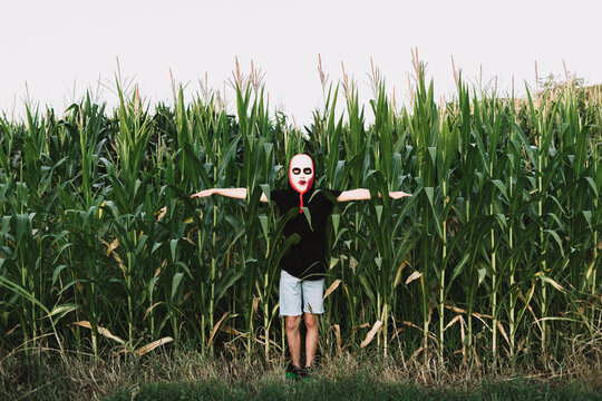 Unrecognizable person wearing masquerade mask and costume standing in cornfield and looking at camera