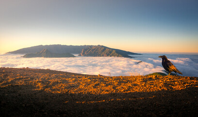 Majestic landscape of mountain range covered with clouds and valley with cloudy sky