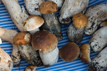 Mushrooms in a wooden box
