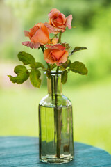 Three roses in a bottle on a garden table