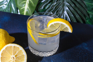 High angle of glass of cold refreshing alcohol drink with ice cubes garnished with lemon slice and placed on table in bar