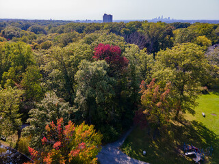 Forested suburbs with changing leaves, a taller building midground and a city downtown in the background