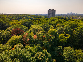 Obraz premium Forested suburbs with changing leaves, a taller building midground and a city downtown in the background