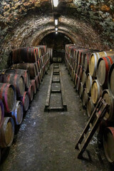 Old wine cellar in Volkany near Villany, Hungary