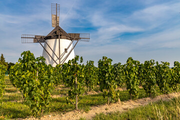 Plakat Vineyard near Windmill Retz, Lower Austria, Austria