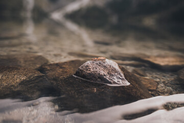 two engagement simple gold rings on na stand on a gray stone in the middle of clear transparent crystal water. rockes scattered on the sand can be seen through the clear water