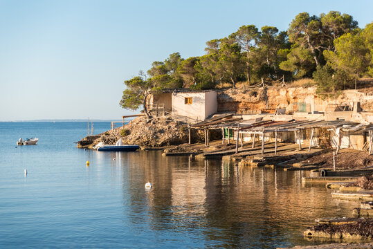 Picturesque scenery of cove near sea with rocky shore and trees under blue sky in Sa Caleta