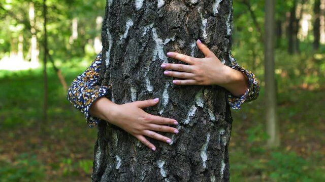 Hugging a tree in a forest. A female environmental activist puts her arms around a tree. In love with Nature. Filmed with a tele lens in UHD.