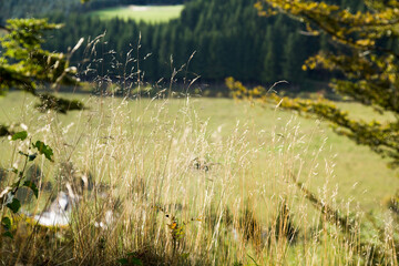  Sauerland Landschaft 