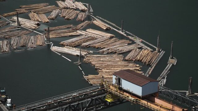 Birds Eye View of Log Boom in River and Crane Shed