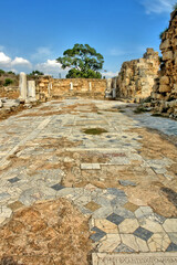 Salamis  - an ancient Greek city-state on the east coast of Cyprus,