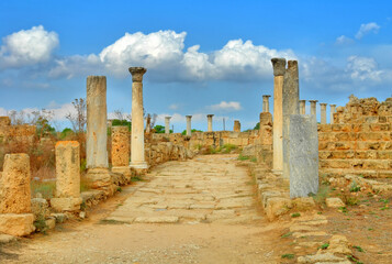 Fototapeta na wymiar Salamis - an ancient Greek city-state on the east coast of Cyprus,