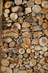 Medra nueva cortada para leña.