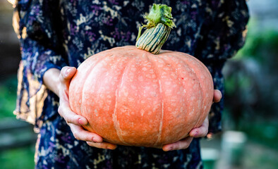 woman holding pumpkin in autumn thanksgiving