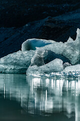 icebergs in a lake with Mt Cook in the background