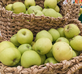 The harvest of ripe green apples lies in wicker baskets.