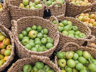 The harvest of ripe green apples lies in wicker baskets.