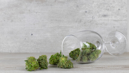 Fresh cannabis flowers in a wine glass