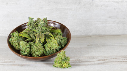 Fresh cannabis flowers in a bowl