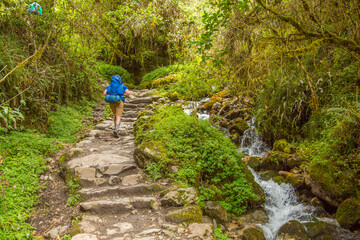 Fototapeta premium A lone hiker on the Inca trail near the Llullachapampa camp ground, Peru. Many of the stones are hand carved by the ancient peruvians.