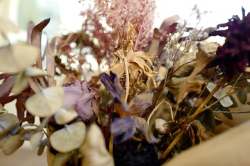A bunch of dried flowers with light behind them